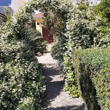Danja Apartman