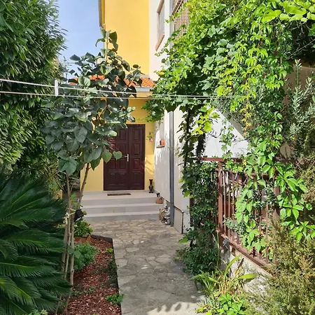 Danja Kastela